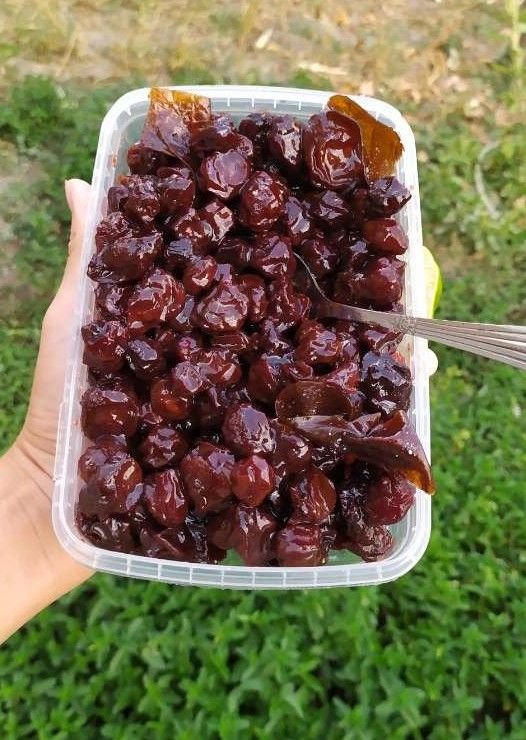 ترشک آلوچه جنگلی ترش با تیکه های لواشک ترش