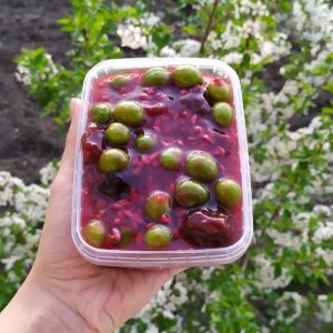 اناردون با آلوچه
